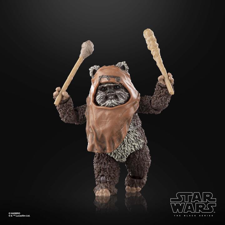 Actual product image Hasbro Star Wars Episode VI Black Series figurine Wicket 15 cm