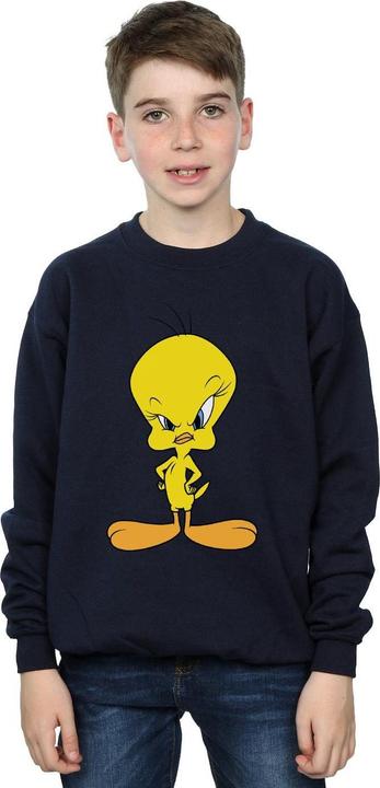 Actual product image Looney Tunes Boys Angry Tweety Sweatshirt (152, 158)