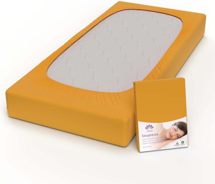 Produktbild Lotus Bettwaren Jersey Fixleintuch Souplesse (200 x 220 cm)