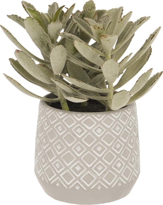 Image du produit Kave Home Kalanchoe (23 cm)