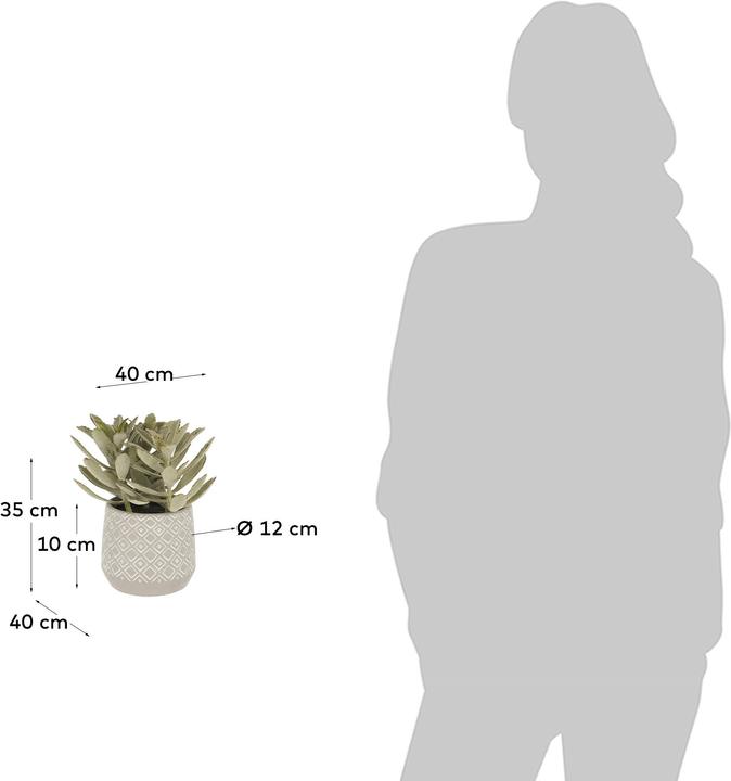 Image du produit Kave Home Kalanchoe (23 cm)