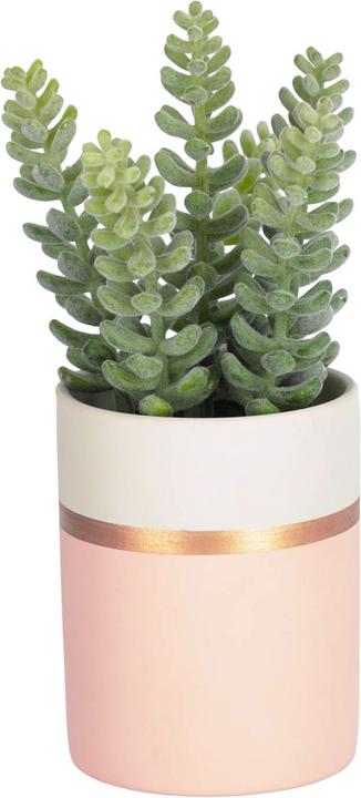 Image du produit Kave Home Sedum (19 cm)