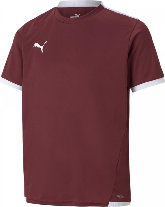 Actual product image Puma teamLIGA Jersey Jr-704925 (176)