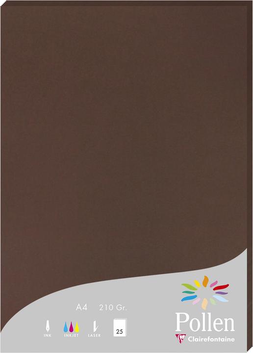 Image du produit Pollen Papier (210 g/m², A4)