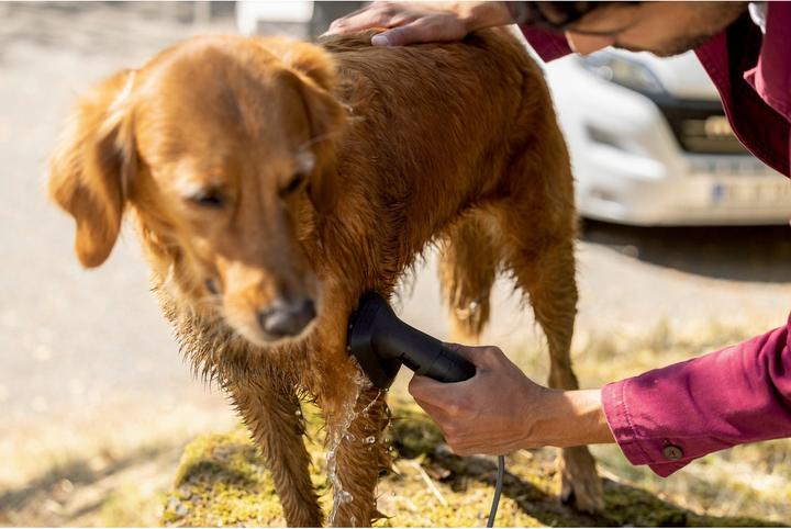 Actual product image Kärcher Professional Washing brush for animal hair