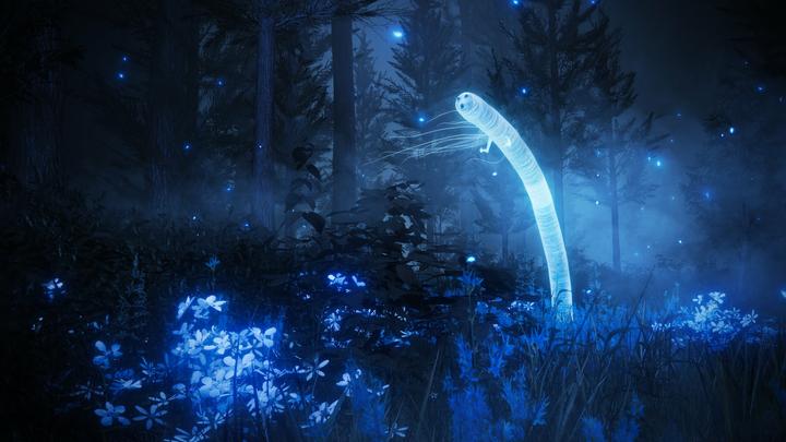 Produktbild Bandai Namco Elden Ring: Shadow of the Erdtree - Collector's Edition (Xbox Series X)