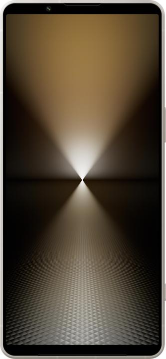 Actual product image Sony Xperia 1 VI (256 GB, Platinum Silver, 6.50", Dual SIM, 52 Mpx, 5G)