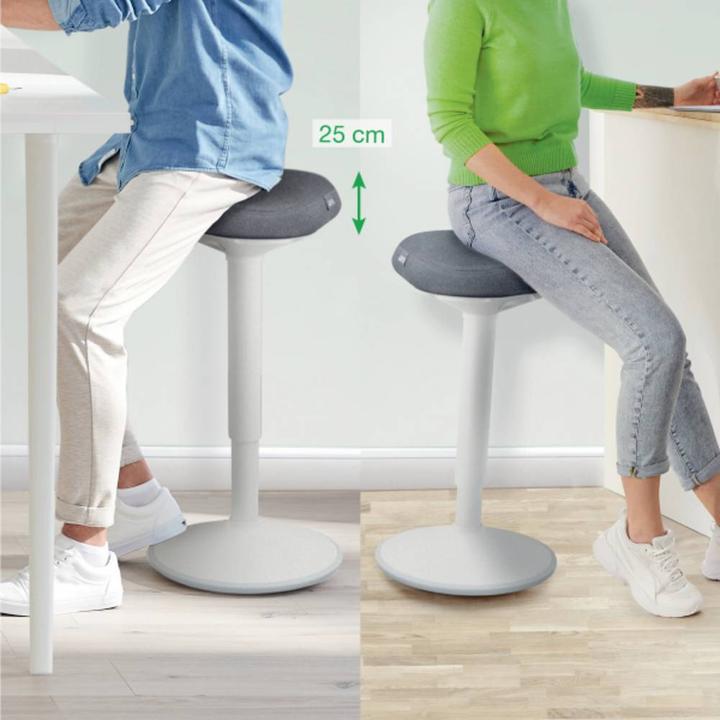 Actual product image Leitz Ergo Active