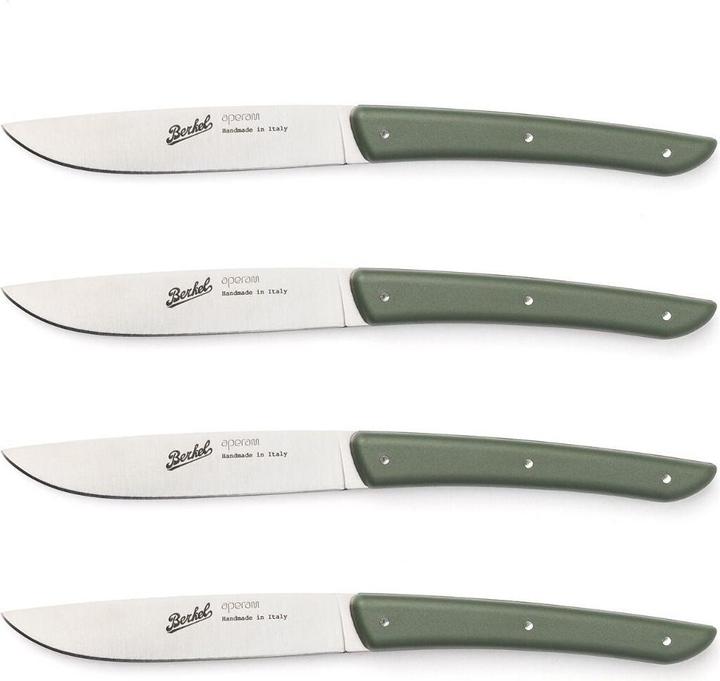 Actual product image Berkel Steak knife set 4 pcs. colour verde (4 Piece, Knife)