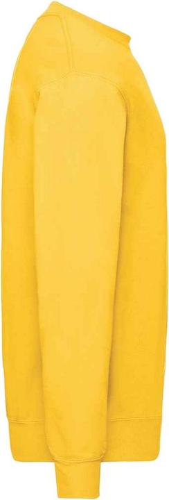 Image du produit Fruit of the Loom - Sweat CLASSIC - Homme (M)