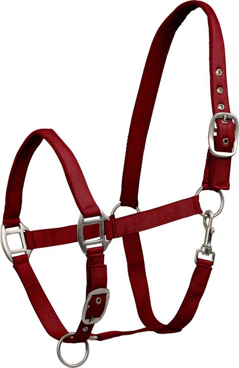 Waldhausen Halfter Satin