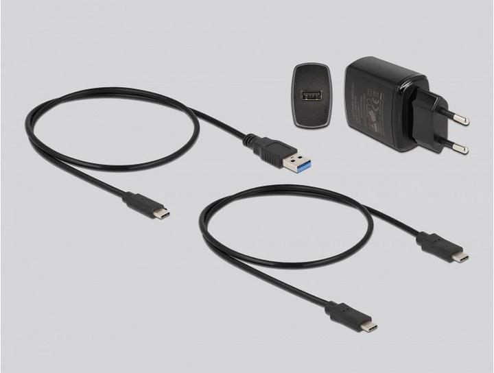 Produktbild Delock Docking- und Klonstation USB-C - 2x M.2 SATA