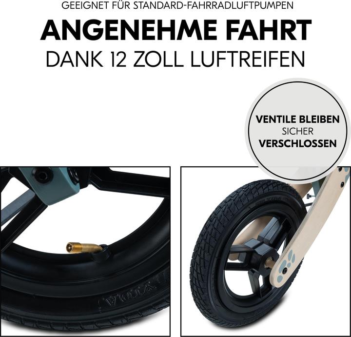 Actual product image Hauck Balance N Ride (12")