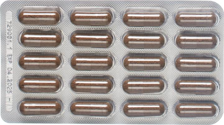 Produktbild Padma Cogniben (60 Stück, Kapseln, 52 g)