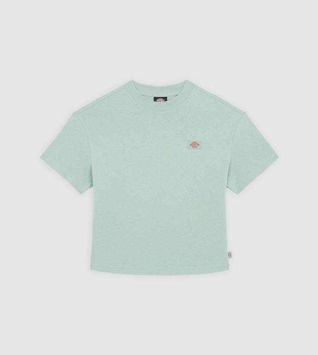 Dickies Oakport Boxy Ss Tee Iceberg Green