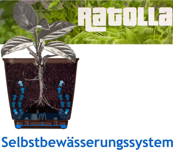 Image du produit Deuba Box balcon (16 cm)