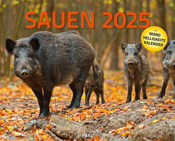 Sauen Kalender 2025 Jagd-Kalender im XXL-Format (Deutsch)