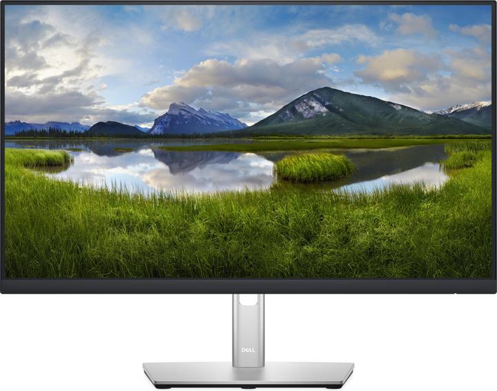 Dell P2422H (1920 x 1080 Pixel, 23.80")