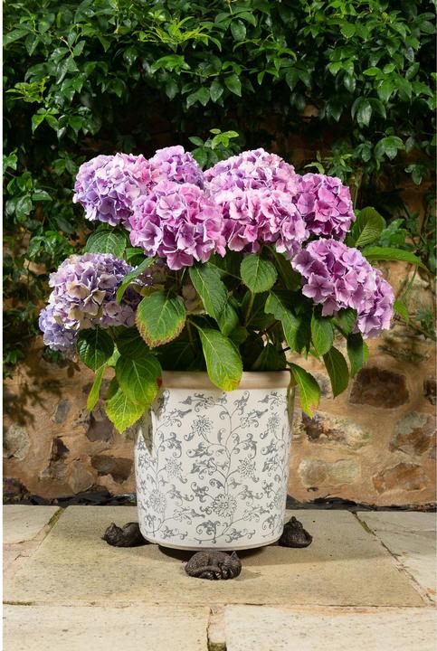 Immagine prodotto Jardinopia Piedi di vaso per piante Piedi di vasino per gatti addormentati, set da 3