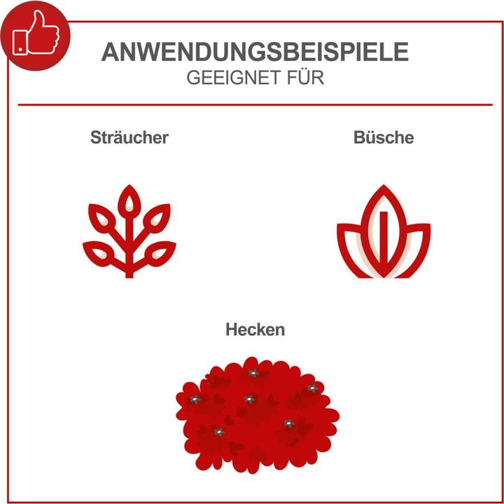 Actual product image Scheppach HTH250/240P Hedge Trimmer 1hp (Gasoline hedge trimmer)