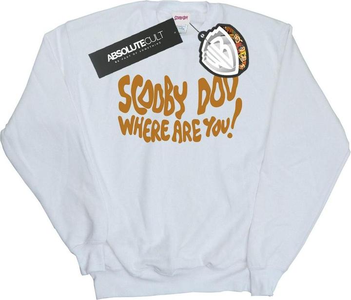 Produktbild Scooby Doo Where Are You Spooky Sweatshirt (S)