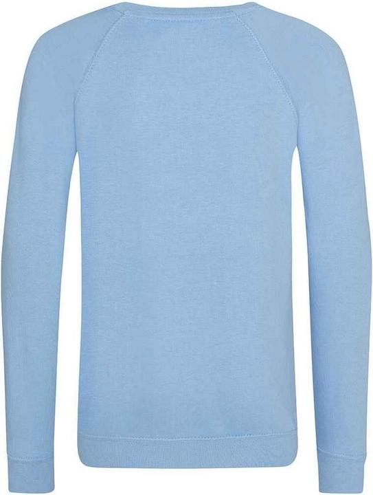 Actual product image Awdis Childrens/Kids Academy Raglan Sweatshirt (146, 152)