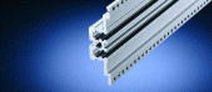 Image du produit Schroff Profil central, type MZ - MODULSCH. MITTE 63TE MZ