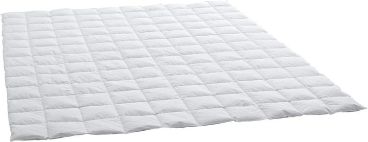 Billerbeck Billerbeck down duvet Verano Basic Superlight