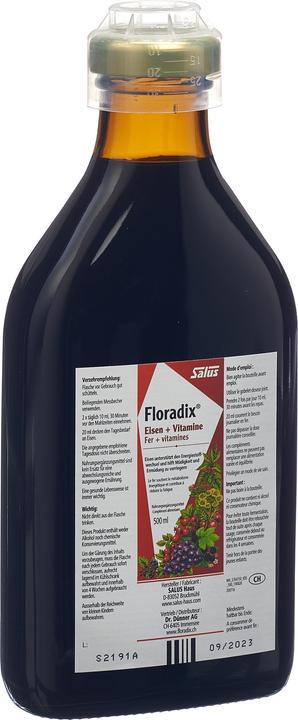Actual product image Floradix Iron (1 Piece, Liquid, 600 g)
