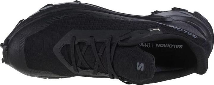 Image du produit Salomon Alphacross 5 GTX - 59879 (44 2/3)