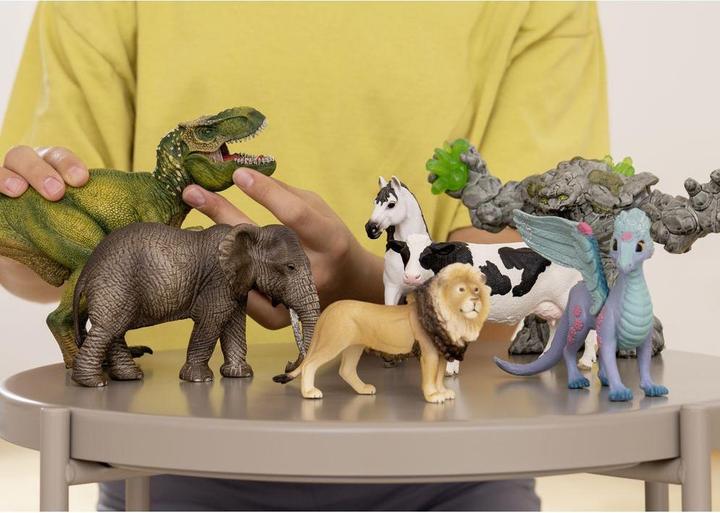 Actual product image Schleich Flower dragon and child