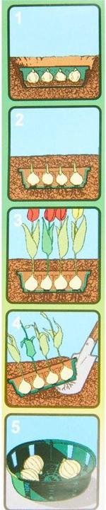 Actual product image Windhager Flower bulb tray 30cm