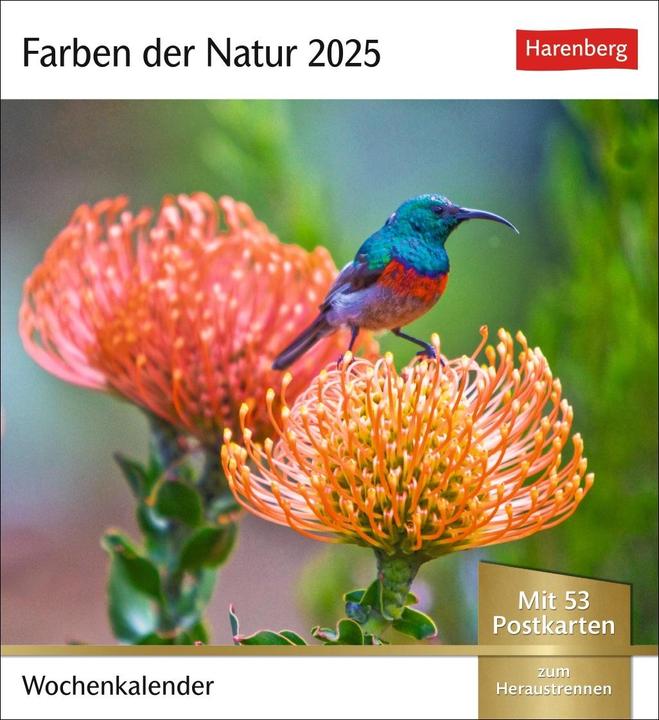 Produktbild Harenberg Farben der Natur Postkartenkalender 2025 - Wochenkalender mit 53 Postkarten (16 x 17.5 cm, Harter Einband, Deutsch)
