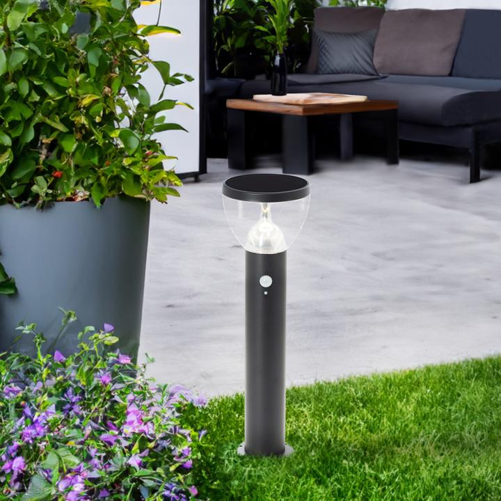 Image du produit Brilliant G40411/06 Tulip Lampe d'extérieur solaire, lampe d'allée 3 W Blanc chaud Sc (430 lm, IP44)