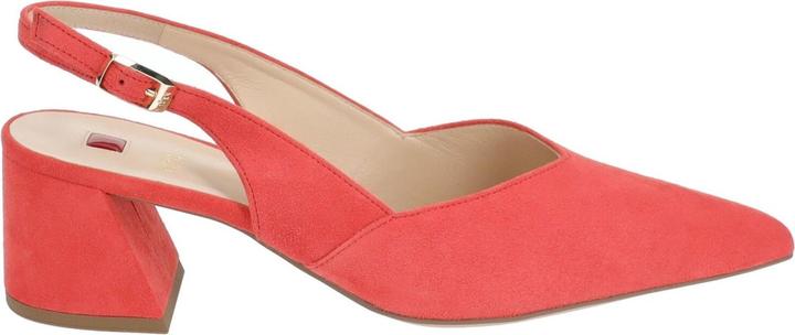Image du produit Högl Pumps (34.5)