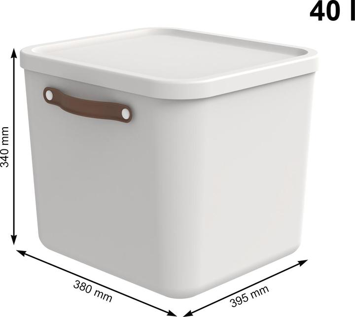 Actual product image Rotho Maloja (39.5 x 38 x 34 cm, 40 l)
