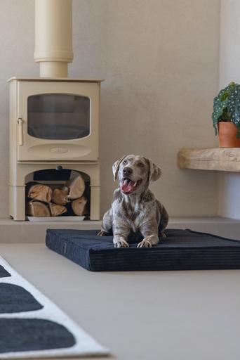 Actual product image Designed by Lotte Orthopaed cage cushion Ribbed (Dog)