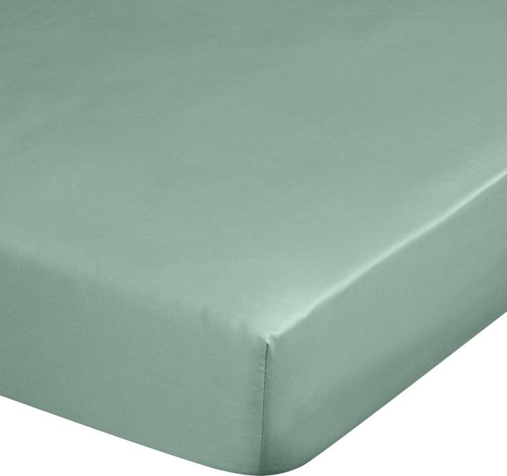 Menthe