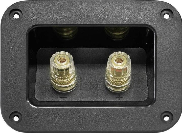 Actual product image No Name Speaker screw connection 204610 1 pc.