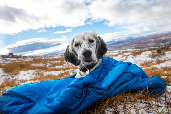 Produktbild Non-Stop Dogwear Ly Sleepingbag For Dog (M, Hundemantel)