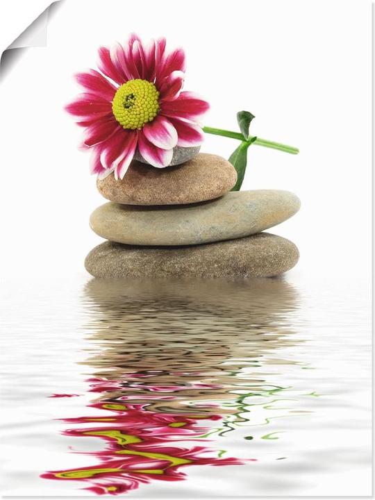 Produktbild Artland Zen Spa Steine mit Blumen T5QX (60 x 80 cm)