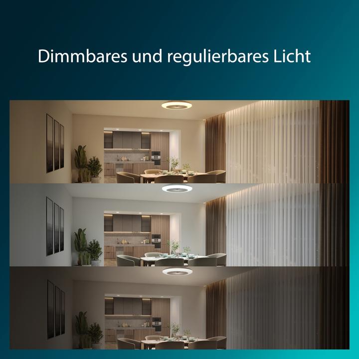 Image du produit Signify Philips Amigo (6500 lm)
