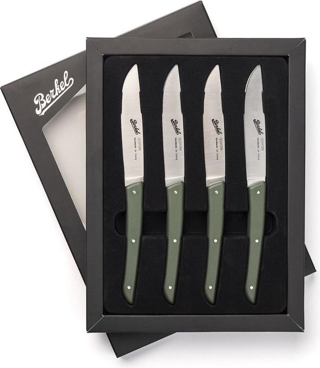 Actual product image Berkel Steak knife set 4 pcs. colour verde (4 Piece, Knife)