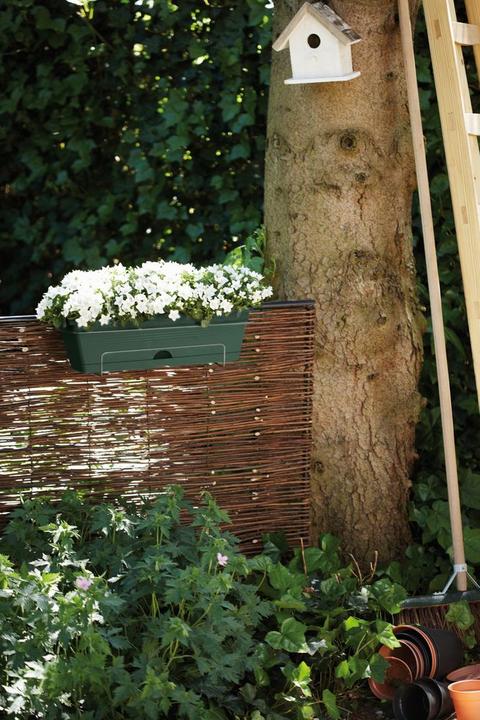 Produktbild Elho Green Basics Balkonkasten Allin1 (49 cm)