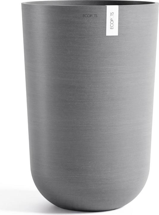 Grigio