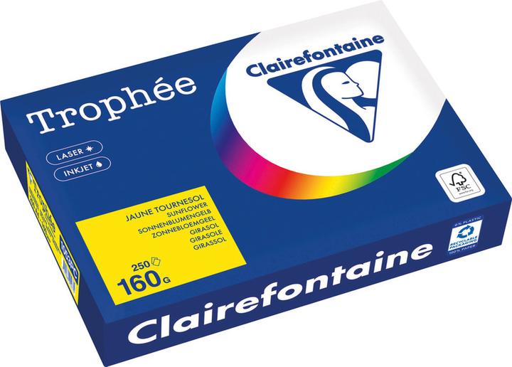 Produktbild Clairefontaine Universalpapier Trophée farbig (160 g/m², 250 x, A4)