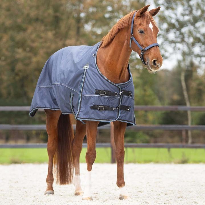 Image du produit Qhp couverture pour cheval 150g (175 cm)