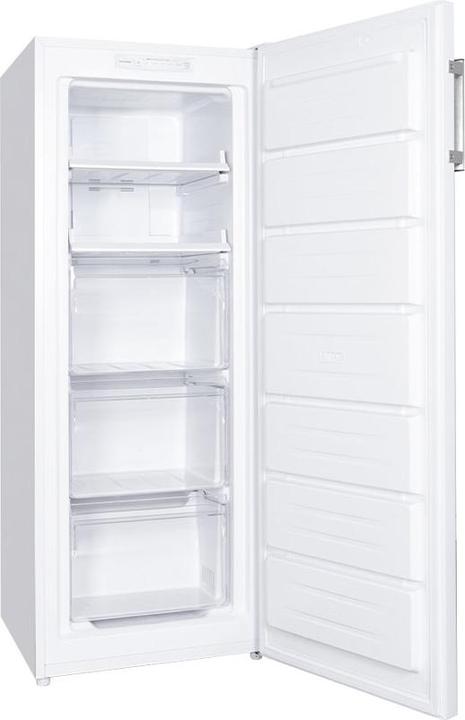 Immagine prodotto Kibernetik FSP ECO T161 (Struttura autonoma, 161 l)