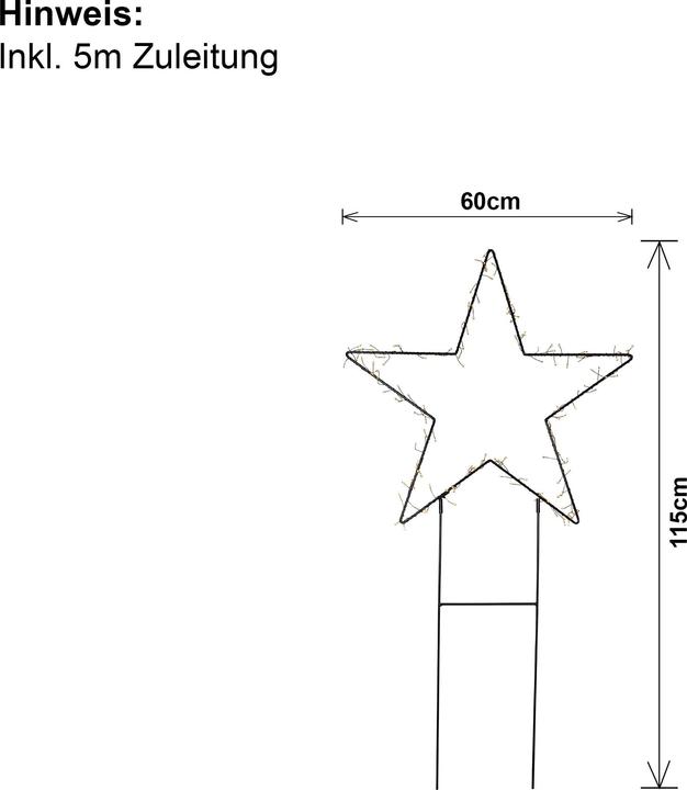 Actual product image Star Trading Barlumi