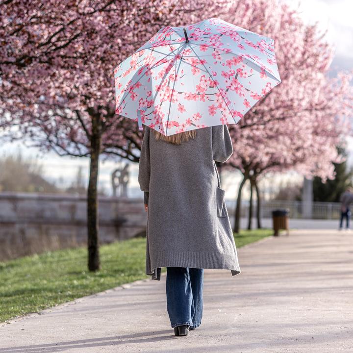 Produktbild Fisura Stockschirm Sakura